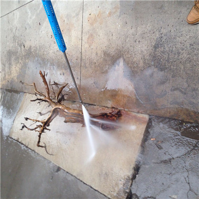 根雕清洗1.jpg 根雕清洗1.jpg