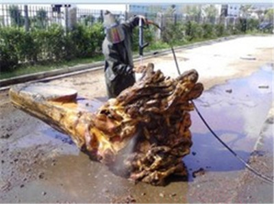 根雕清洗3.jpg 根雕清洗3.jpg