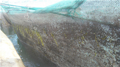 1562029140748560.jpg 高壓清洗機(jī),進(jìn)口高壓清洗機(jī),高壓清洗機(jī)價(jià)格,超高壓清洗機(jī)