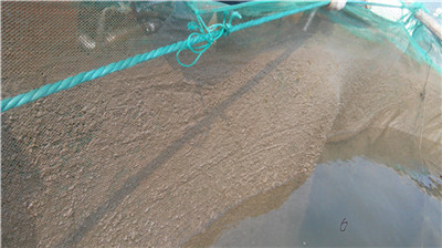 高壓清洗機(jī),進(jìn)口高壓清洗機(jī),高壓清洗機(jī)價(jià)格,超高壓清洗機(jī) 高壓清洗機(jī),進(jìn)口高壓清洗機(jī),高壓清洗機(jī)價(jià)格,超高壓清洗機(jī)