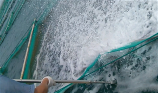 高壓清洗機,進口高壓清洗機,高壓清洗機價格,超高壓清洗機