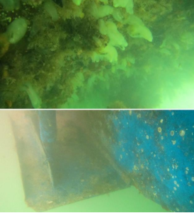 船體清洗 船體清洗