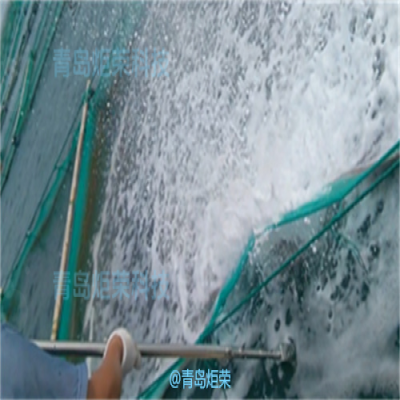 面向水產養殖行業的空化射流水下網箱清洗機器人